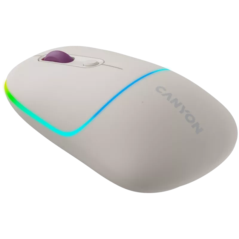 CANYON Maus MW-22 2-in-1 BT/Wireless Rice