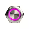 Vandalensicherer Drucktastenschalter DimasTech PD197 25 mm Silverline-Ring