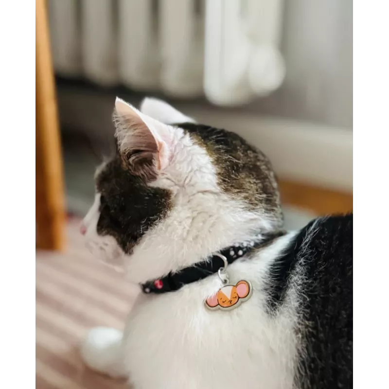 ZOLUX Chatouille schwarz - Katzenhalsband