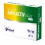 Verdauungsenzyme Vetfood AMYLACTIV DIGEST MINI – Nahrungsergänzungsmittel, 30 Kapseln für Katzen und Hunde