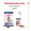 Trockenfutter für Hunde Royal Canin Maxi Adult 5+ 15 kg — Huhn, Protein 26 %, Fett 17 %