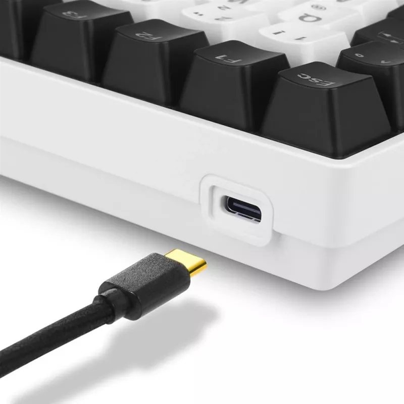 Sharkoon SKILLER SGK50 S3 Tastatur Gaming USB AZERTY Französisch Weiß