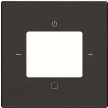 Busch-Jaeger Zentralabdeckung 8252-81-101 (2CKA008200A0248)