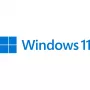Microsoft Windows 11 Pro 64-Bit Spanisch (FQC-10552)
