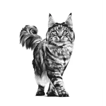 ROYAL CANIN Cat Gastrointestinal VHN - Trockenfutter für Katzen - 400g