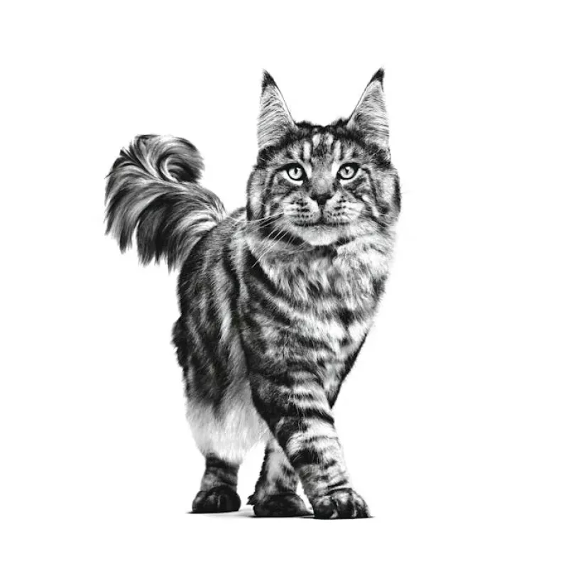 ROYAL CANIN Cat Gastrointestinal VHN - Trockenfutter für Katzen - 400g
