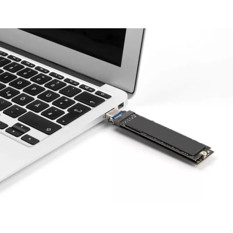 DeLOCK Combo-Konverter für M.2 NVMe PCIe oder SATA SSD USB 3.2 Gen 2 Schwarz