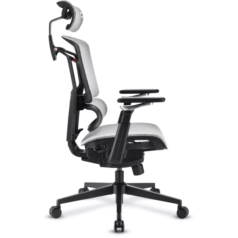 Bürostuhl Sharkoon OfficePal C50M — gepolsterte Sitzfläche, Netzrückenlehne, schwarz, Rückenlehne 49 × 63 cm, Sitzbreite 50 cm