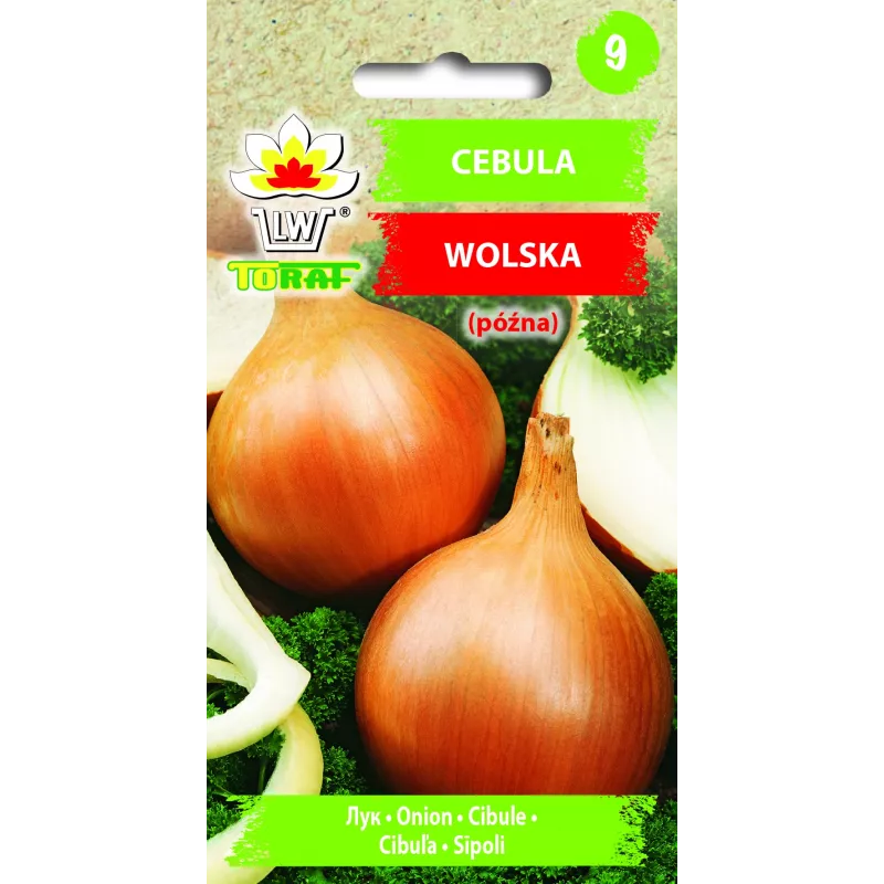 Wolska Onion Toraf Gemüsesamen, 5g Packung