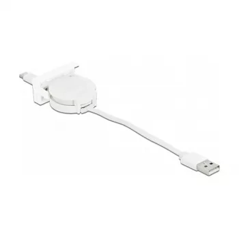 Aufrollbares Kabel DeLOCK Easy 45 USB 2.0 Typ-A auf Typ-C 0,62 m