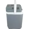 Cool Box Campingaz Powerbox Plus 28 L Electric Grau