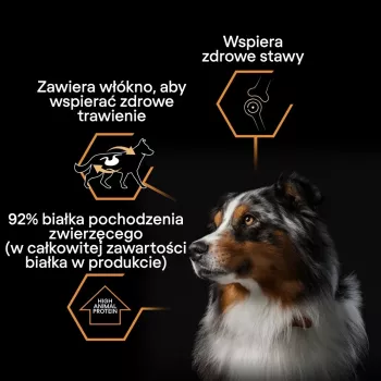 PURINA Pro Plan Everyday nutrition All size Adult Turkey in jelly - Nassfutter für Hunde - 400g