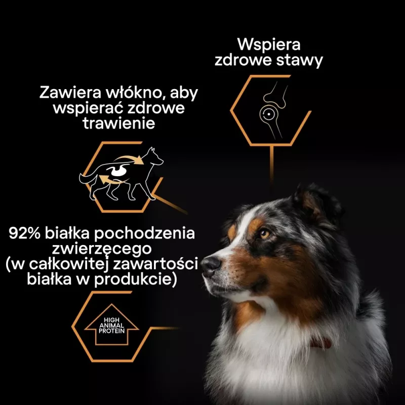 PURINA Pro Plan Everyday nutrition All size Adult Turkey in jelly - Nassfutter für Hunde - 400g
