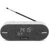 Technisat DigitRadio BT 2 Hellgrau (0001/3973)