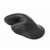 Gembird MUSW-ERGO-03 Maus Home Rechtshänder RF Kabellos Optisch 1600 DPI