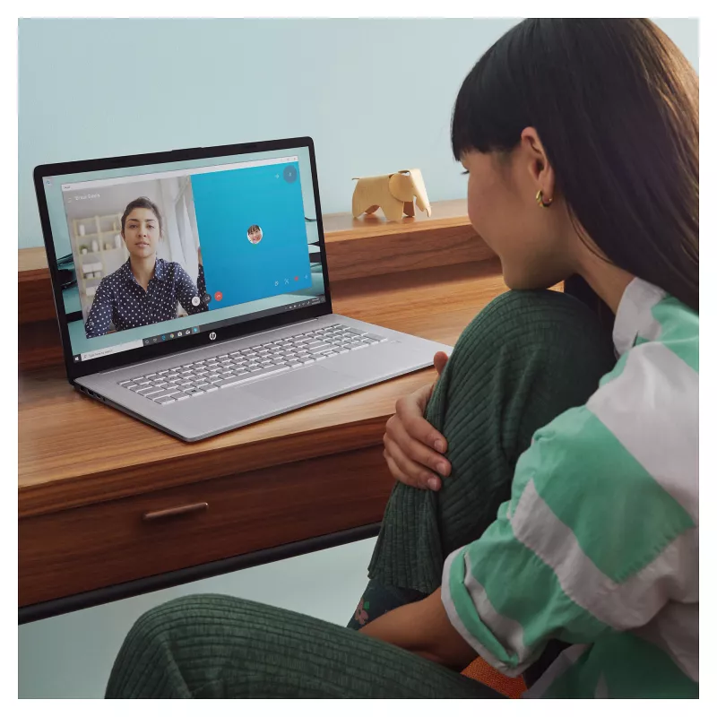 HP 17-cn3659ng A2TZ2EA#ABD Notebook 43,9 cm (17,3) 1920x1080 - Intel Core i5 1334U - 512GB SSD - ohne GPU - HDMI/USB-C - ohne Betriebssystem - Silber (A2TZ2EA#ABD)