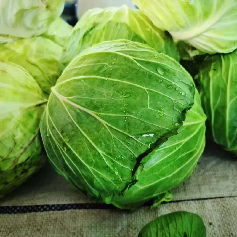 Samenpackung Apte — Weißkohl 'Roem Van Enkhuizen' (2 g) Gemüsesamen