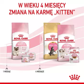 Trockenfutter für Katzen Royal Canin Mother & Babycat 2 kg – Huhn, für trächtige und säugende Kätzinnen und Kätzchen (Junior)