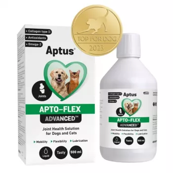 Flüssiges Gelenkergänzungsmittel Aptus Apto-flex Advanced für Hunde und Katzen 500 ml, flüssig, 500 ml Flasche, konservierungsmittelfrei