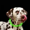 LED-Halsband Anicoll Grün für Hunde und Katzen Modell wiederaufladbare Beleuchtung