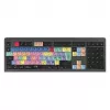 Logickeyboard LKB-PPROCC-A2M-UK Tastatur USB QWERTY Englisch Schwarz (LKB-PPROCC-A2M-UK)