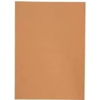 Elba 100091654 Aktenordner orange A4 (100091654)