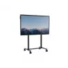 Elektrischer Touchscreen-Ständer AVTEK 1MV137 höhenverstellbare mobile Halterung für interaktive Displays