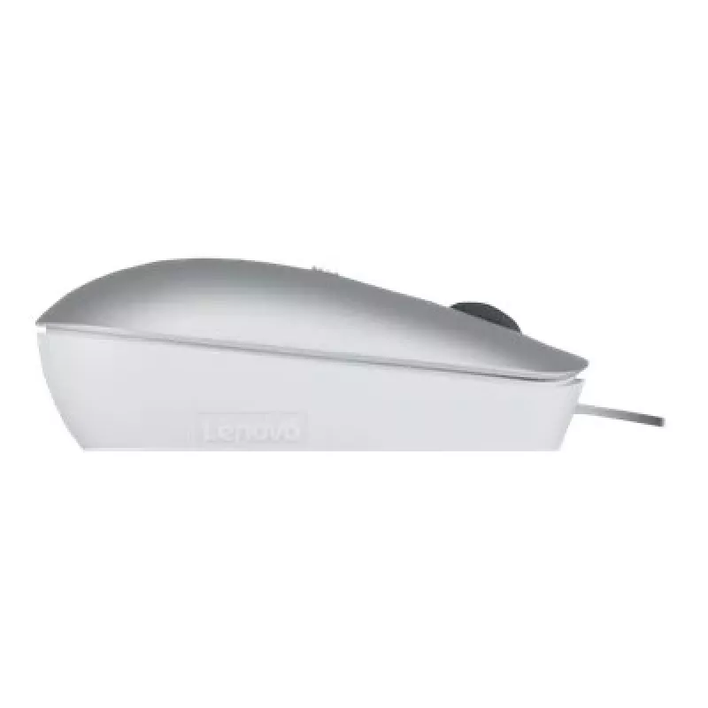 Kabelgebundene optische beidhändige Maus Lenovo 540 USB Typ-C, 3 DPI-Modi, grau, 4 Tasten, 1,8 m Kabel