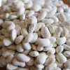 Saatgutpackung Seklos LT PNOS — Trockenbohnen 'Igłomska' Samen, 50 g