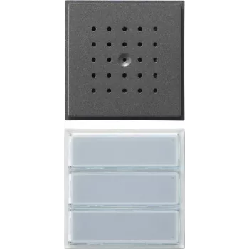 Audio-Türsprechanlage GIRA 126167