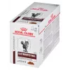 Nassfutter für Katzen Royal Canin Gastrointestinal Moderate Calorie 12 x 85 g Beutel, ausgewachsene Katzen, Fleischgeschmack, 82,2 % Feuchtigkeit