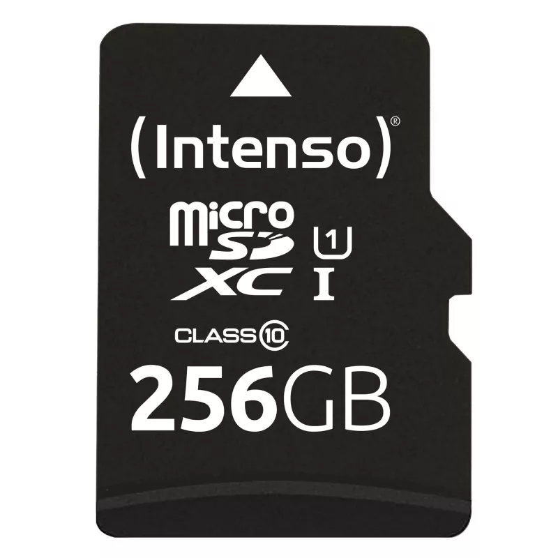 Flash Memory Intenso 256GB UHS-I MicroSD Karte