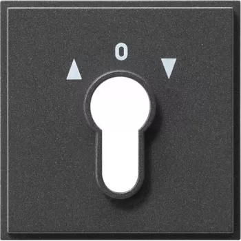 Gira 066467 Netzwerkgerät