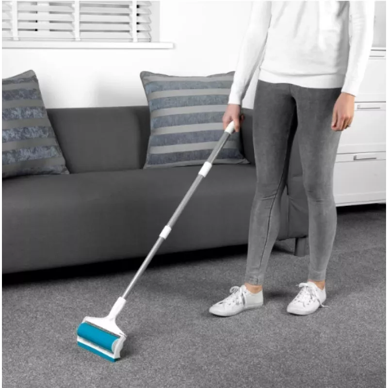 Tierhaarentferner Beldray LA072573EU7, leichtes Handgerät zum Entfernen von Tierhaaren von Stoffen und Polstern