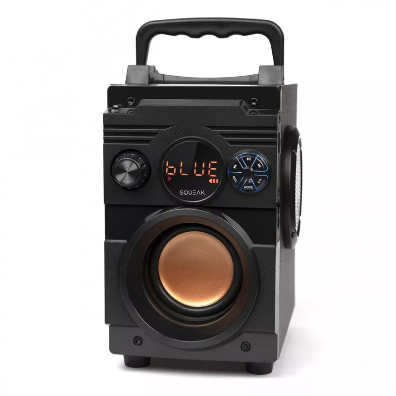 Squeak Bassblaster Bluetooth 5.1 Lautsprecher, FM-Radio, MP3-Player SQ1001