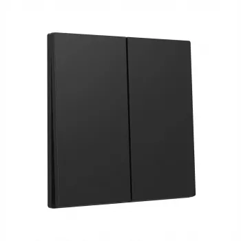 Gira Wippe 2fach System 55 schwarz – Abdeckrahmen-Einsatz für zwei Schalter (Modell 3295005)