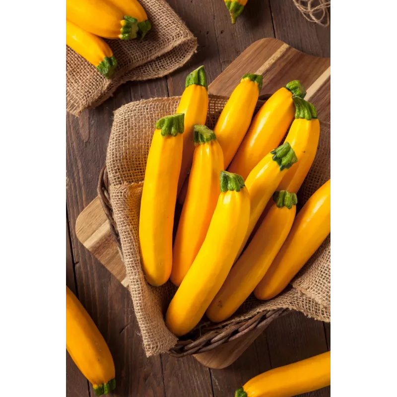 Goldene Zucchini Toraf Gemüsesamen, 5g Packung