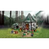 LEGO HARRY POTTER 76428 Hagrids Hütte – Ein unerwarteter Besuch