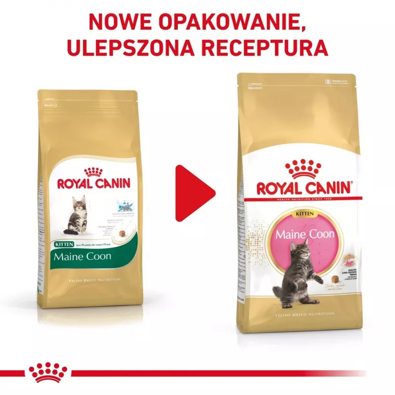 Trockenfutter für Katzen Royal Canin Maine Coon Kitten 2 kg — Geflügel, Protein 36%, Fett 23%