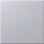Siedle BM 611-0 SM - Aufspannplatte - Silber - Siedle - 99 mm - 26 mm - 99 mm (200016941-01)
