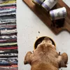 OLLO Umami Ente und Pute - Nassfutter für Hunde - 850g