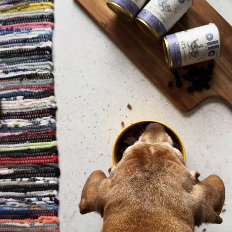 OLLO Umami Ente und Pute - Nassfutter für Hunde - 850g