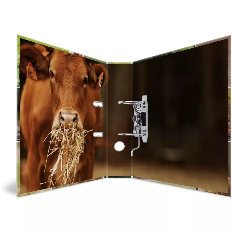 Ringbuch HERMA 19253 A4 Mehrfarbig Karton 285x315 mm