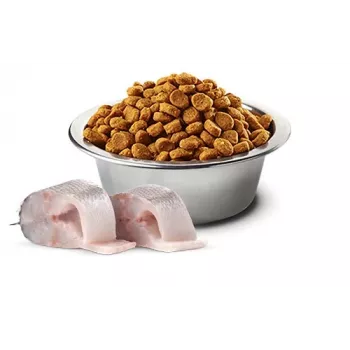 Trockenfutter für Hunde Farmina N&D Sea Bass Spirulina Fennel Adult Mini 2 kg — Fischrezeptur für kleine ausgewachsene Hunde, 23 % Protein, 18 % Fett