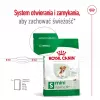 ROYAL CANIN Mini Ageing Adult +12 - Trockenfutter für Hunde - 3,5 kg