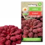 Scarlet Toraf Grünkohlsamen, 1g Packung