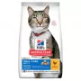 HILL'S SP Adult Oral Care Chicken - Trockenfutter für Katzen - 1,5 kg