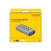 Delock DELOCK-63262 Grau
