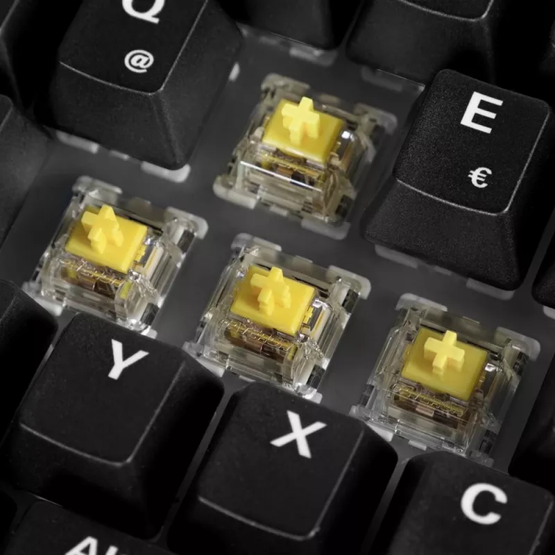 Sharkoon 100068100 Tastatur Office USB QWERTZ Deutsch Holz 61 Tasten RGB LED