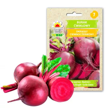 Dunkelrote Rote Bete Toraf Gemüsesamen, 20g Packung